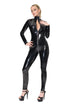 Glossed Over Jumpsuit featuring a sheer jumpsuit with zipper, high neck, and sleek silver-tone hardware.