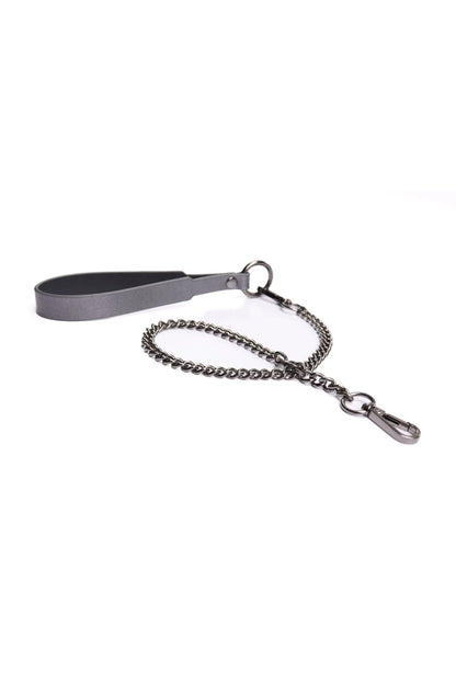 Gunmetal Glam Collar &amp; Leash