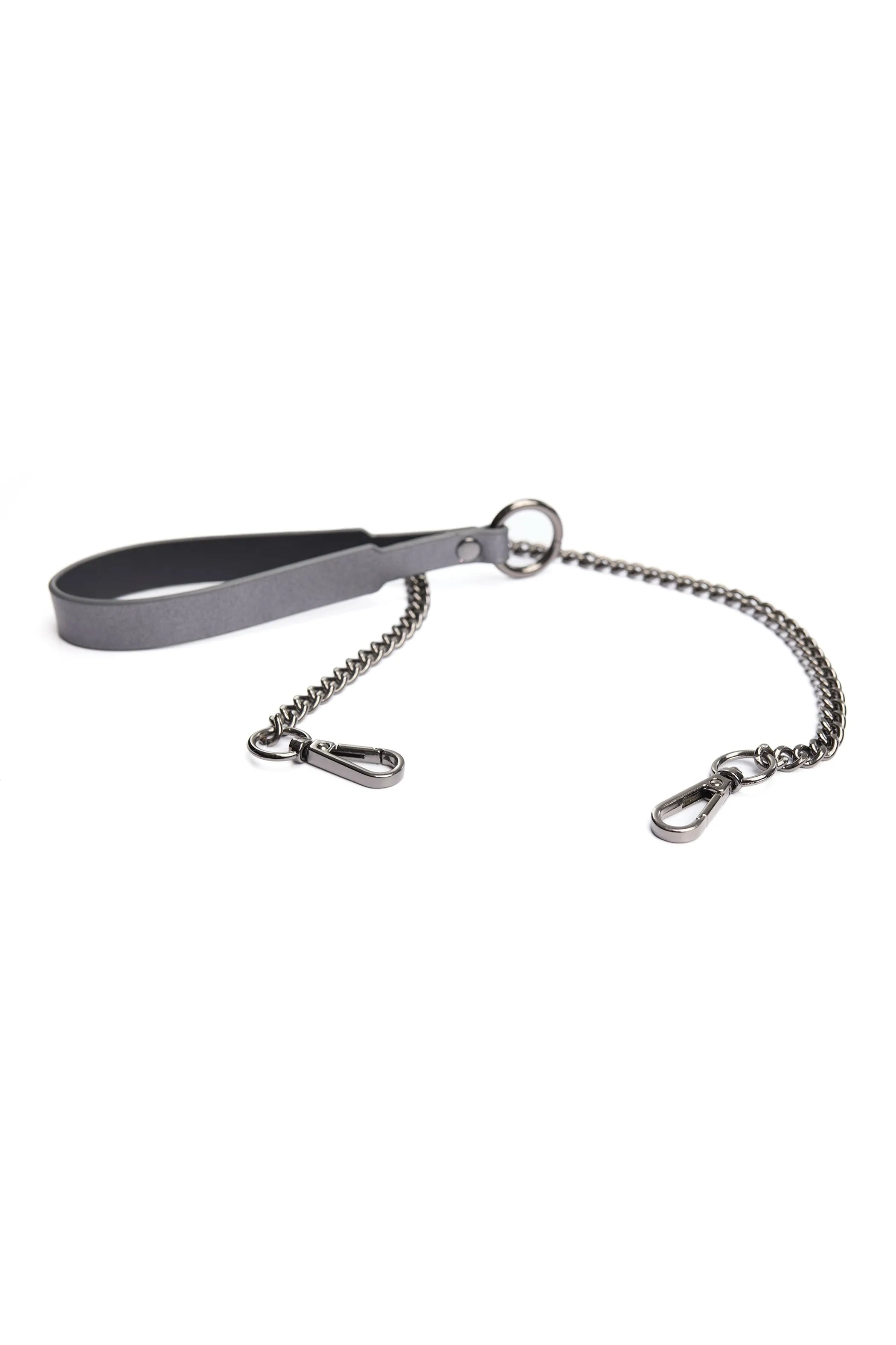 Gunmetal Glam Collar &amp; Leash